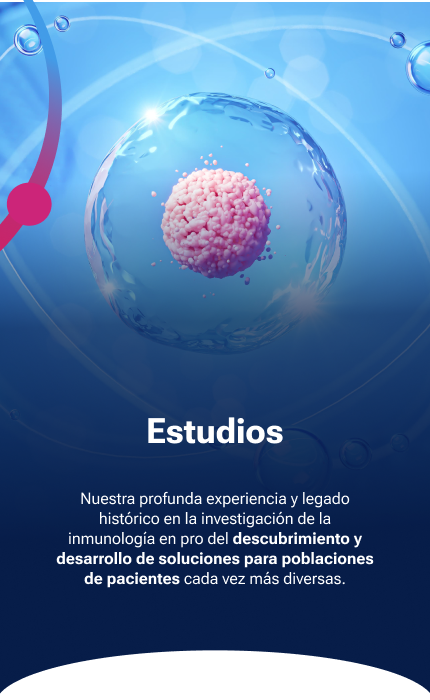 Banner estudios mobile